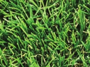 Artificial Grass: Sutton 28mm Artificial Grass 4m width