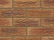 65mm Facing Brick Range: Dorket Honeygold 65mm facing brick