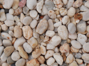 Decorative Chippings, Gravels & Pebbles: Millano Chippings 14-20mm Bulk bag