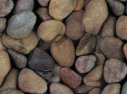 Decorative Chippings, Gravels & Pebbles: Tweed Pebbles 20-40mm 25kg bag