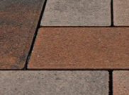 Trade Pavers 50mm & 60mm: Trade Sycamore 50mm block paver