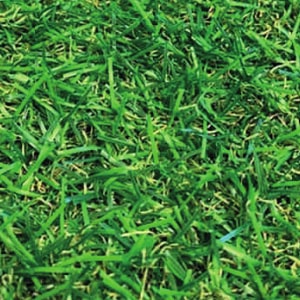Artificial grass: woodcot 20mm artificial grass 2m width