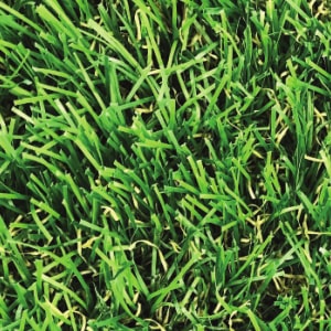 Artificial grass: sutton 28mm artificial grass 4m width