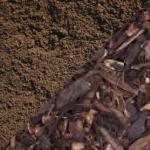 Top soil, compost and bark