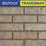 Ibstock Tradesman bricks