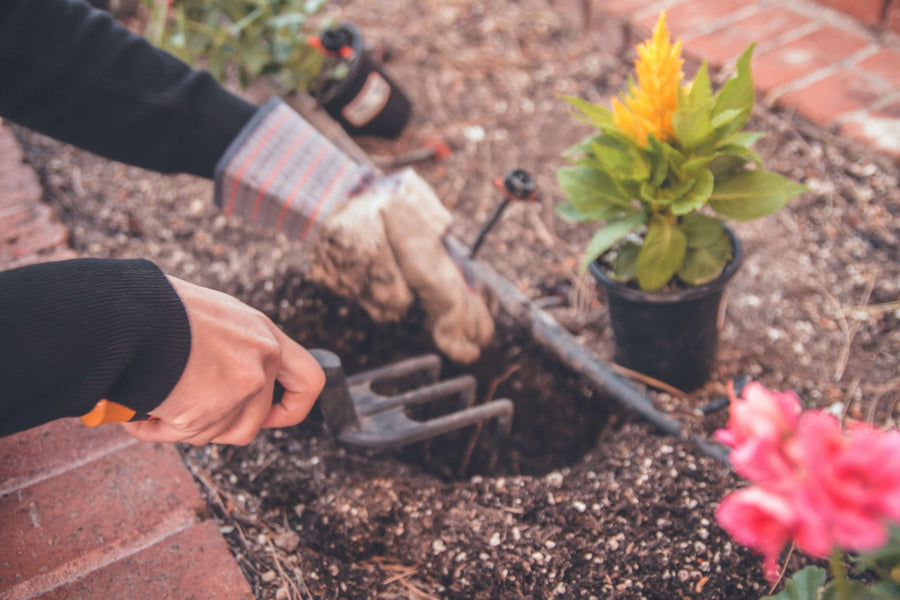 How to Build a Flower Bed That Looks Great All Year Round