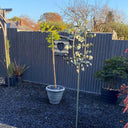 Blue Slate Chippings 20mm Maxi Bag 25kg Gravel