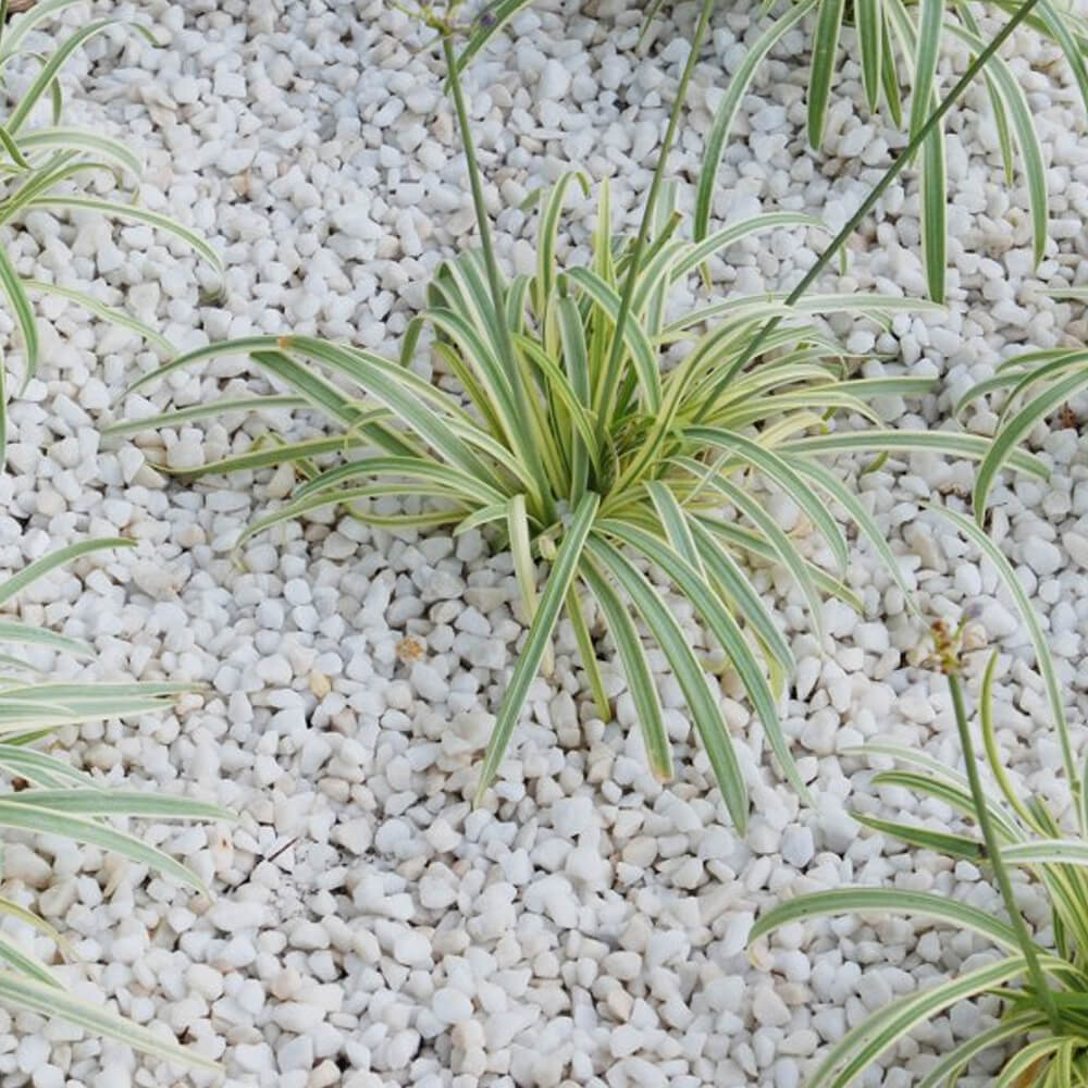 Polar White Gravel 8-11mm Chippings Bulk Jumbo Bag Gravel