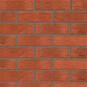 Clumber Red