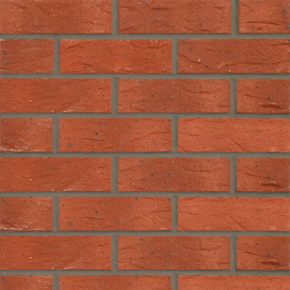 Clumber Red