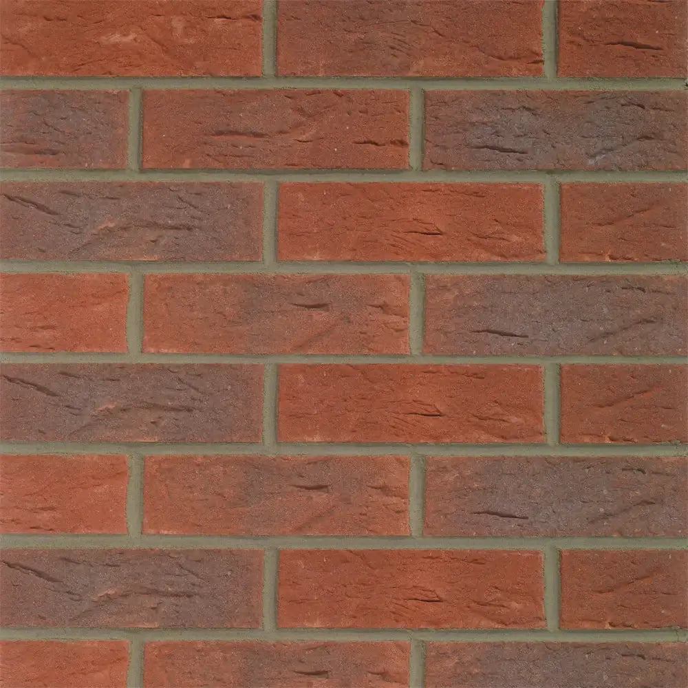 Clumber Red Mixture