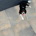 Bronte Acorn Brown Paving Slab 600x600mm