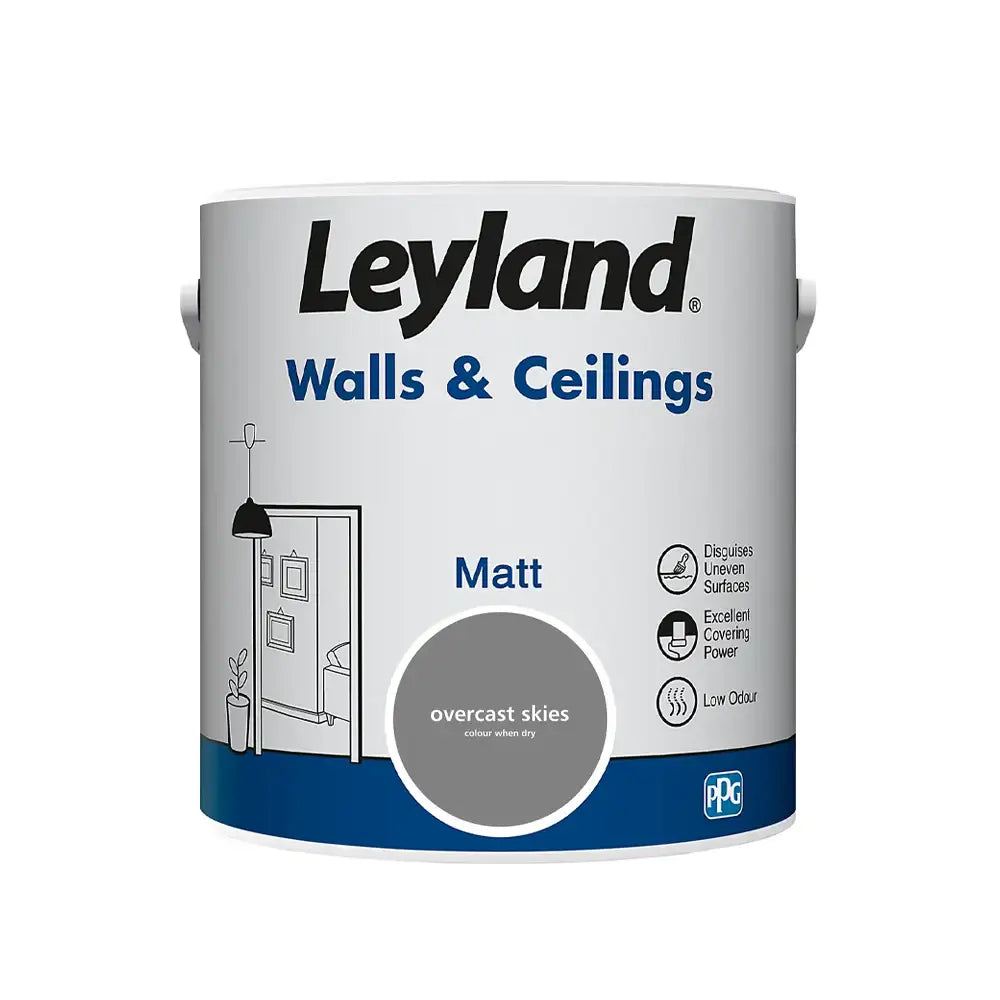Leyland Matt 2.5L Overcast Skies