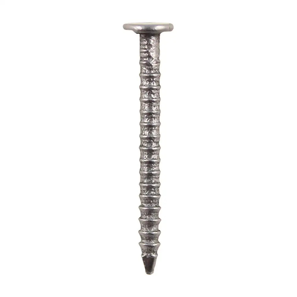 Annular Ringshank Nail 0.5Kg 20Mm