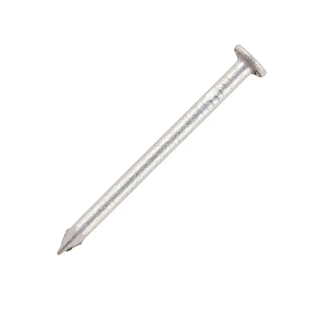 Round Wire Nail - Galvanised 2.5Kg 100mm