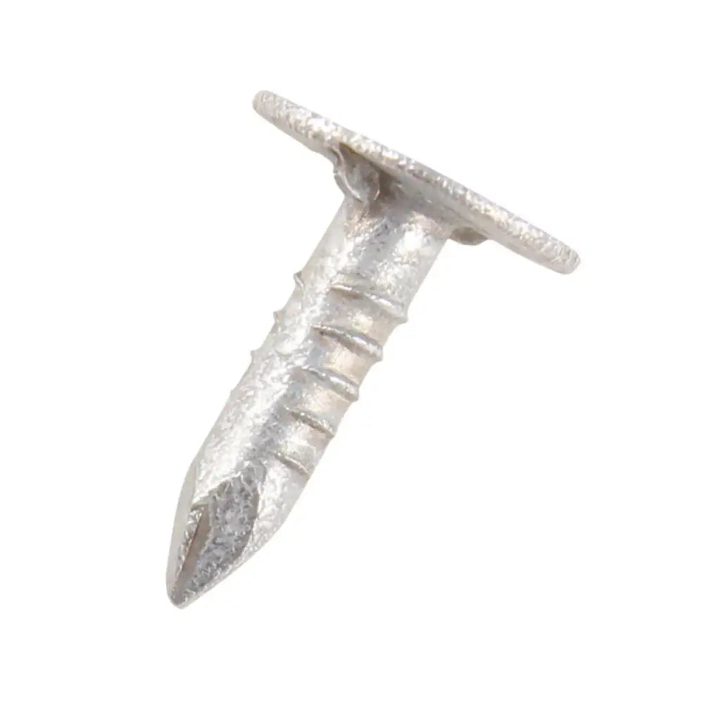 Extra Large Head Galvanised Clout Nail 20mm 2.5Kg