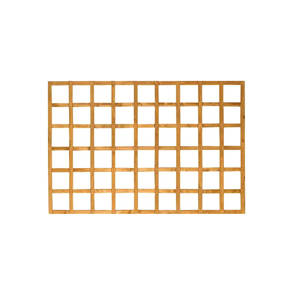 Square Trellis 6X4