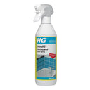 HG Mould Spray & Foam
