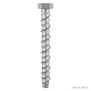 Multi-Fix Bolt Hex Head 10.0 x 75mm (14)