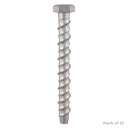 Multi-Fix Bolt Hex Head 10.0 x 100mm (12)