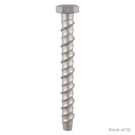 Multi-Fix Bolt Hex Head 10.0 x 100mm (12)