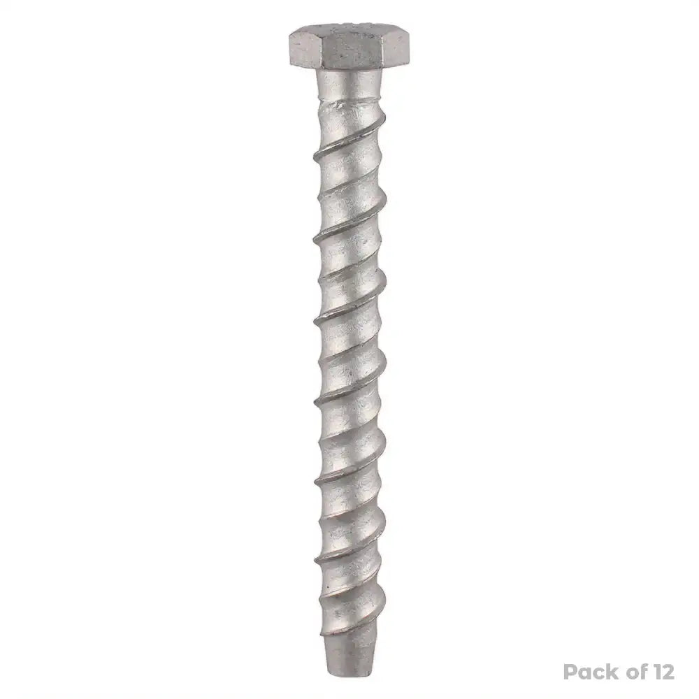 Multi-Fix Bolt Hex Head 10.0 x 100mm (12)