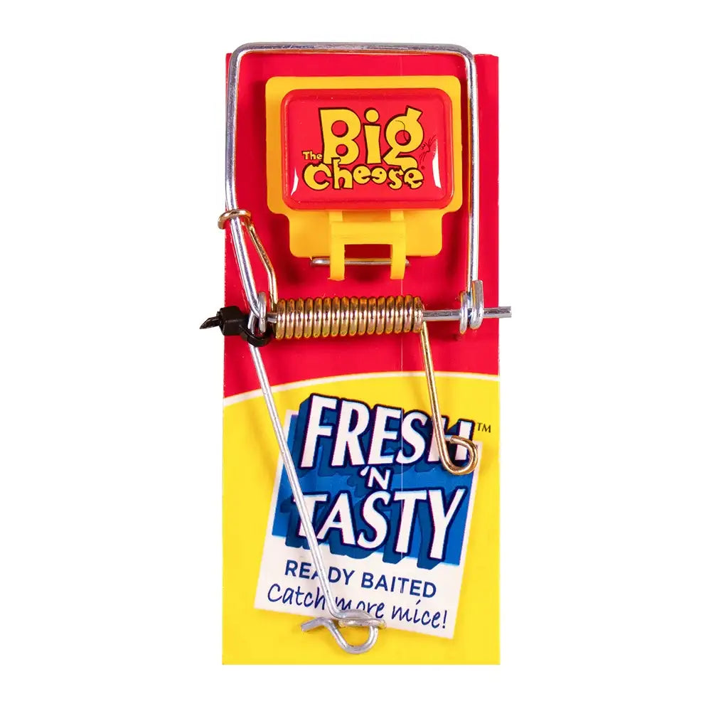 Decco Fresh Bated Mouse Trap