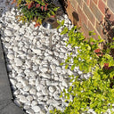 White Pebbles 20-40mm Maxi Bag 25kg