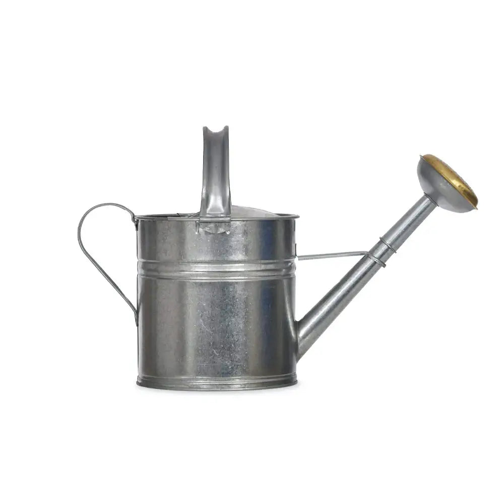 Galvanised Watering Can 5L