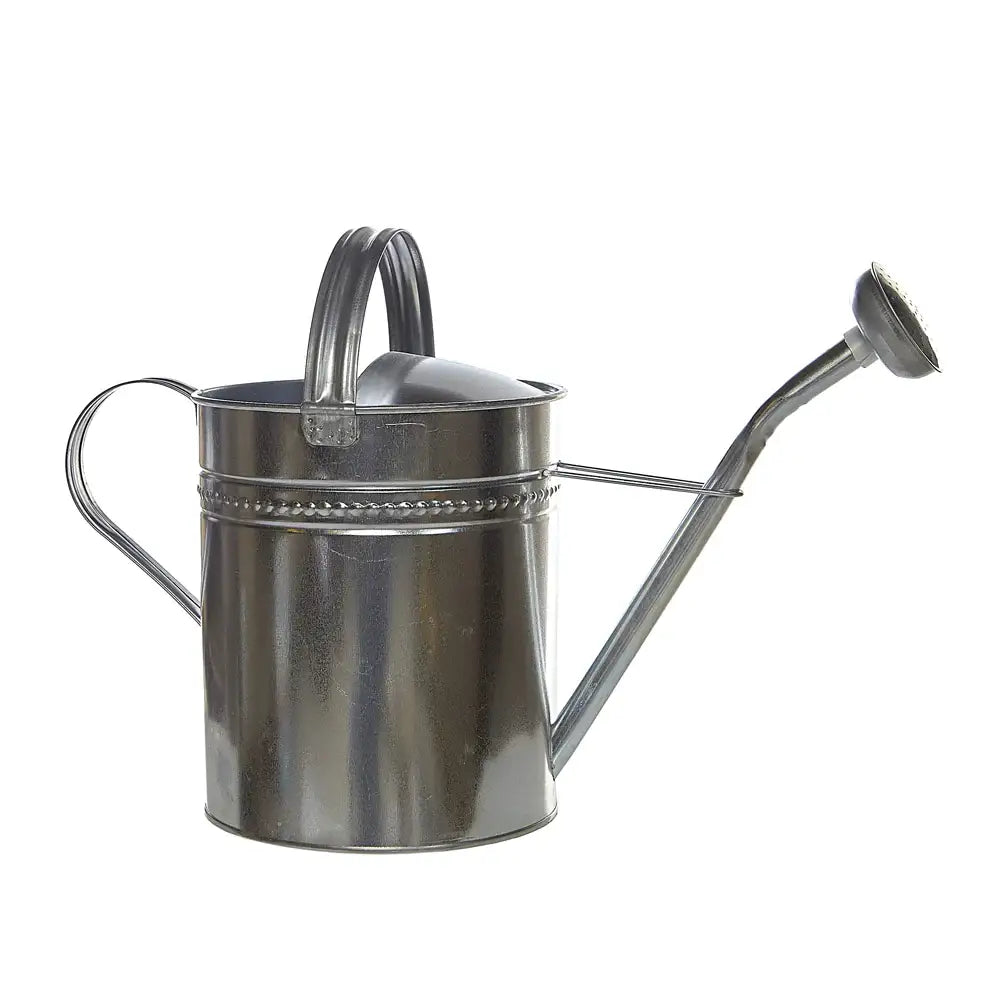 Galvanised Watering Can 10L