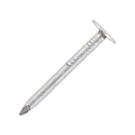 Galv Clout 30mm 0.5Kg