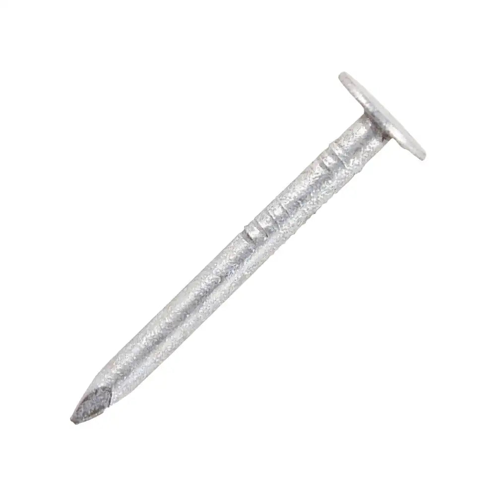 Galv Clout 30mm 0.5Kg