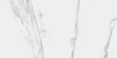 RAK CLASSIC CARRARA GREY 1200x600