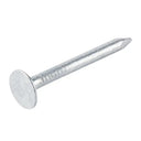 Clout Nail Elh - Galvanised 0.5Kg 40mm
