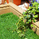 Cotswold Rustic Rope Top Garden Edging