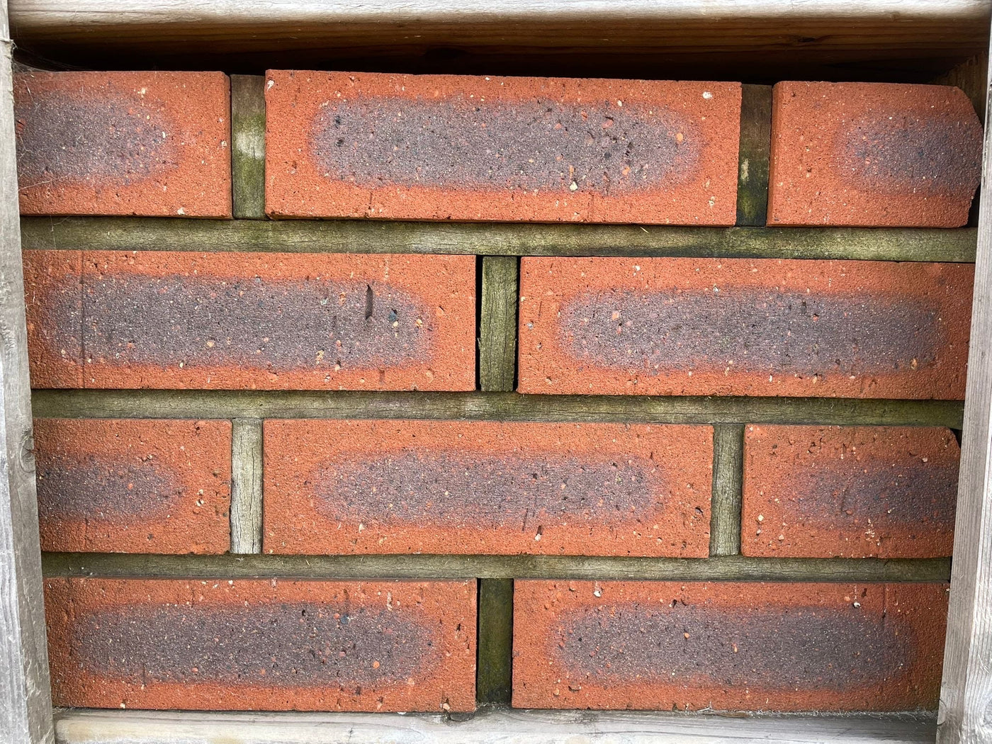 Wienerberger Titian Facing Brick 65mm Pack of 500