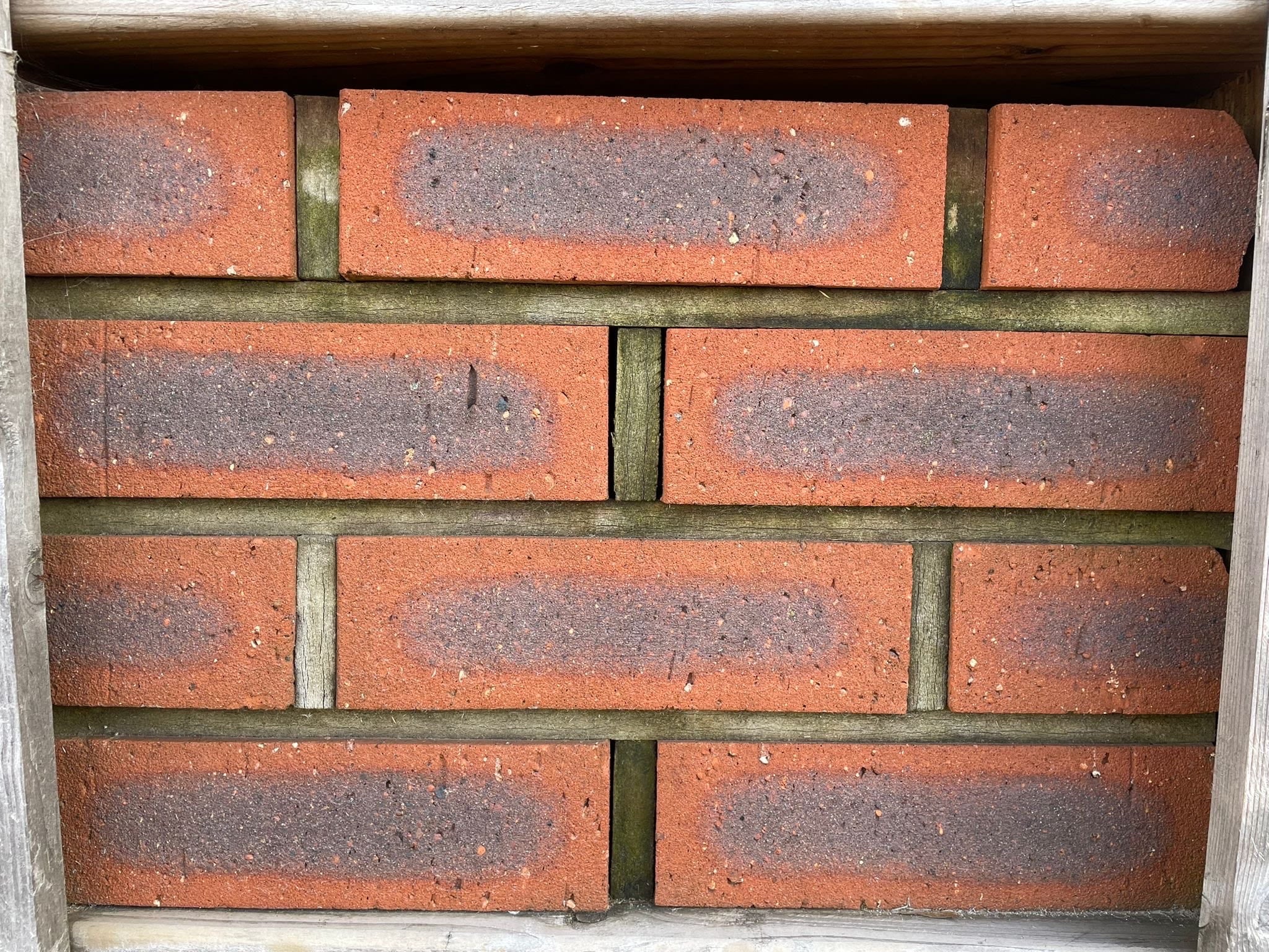 Wienerberger Titian Facing Brick 65mm Pack of 500