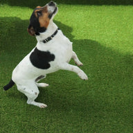 Artificial Grass Pine Valley 30mm (4m Wide)