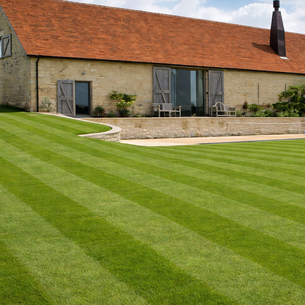 Quality Real Grass Lawn Turf Cultivated Rolls (1 Roll)