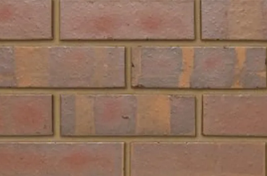 Staffordshire Smooth