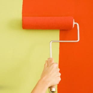 Cheap paint and emulsion Cheap paint and emulsion