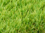 Artificial grass: Ardencote 40mm artificial grass x 1 linear mtr