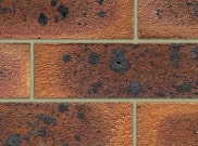 Special Offer Bricks: Westbury Stock Off Shade 65mm trade brick