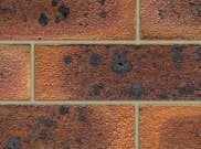 Special Offer Bricks: Westbury Stock Off Shade 65mm trade brick Special Offer Bricks: Westbury Stock Off Shade 65mm trade brick