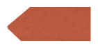 Specialist Bricks: Squint Brick Red