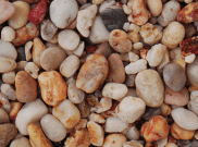 Decorative chippings, gravels & pebbles: Apricot chippings 25kg bag