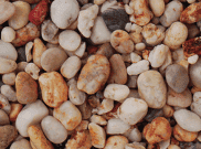 Decorative Chippings, Gravels & Pebbles: Apricot Chippings 25kg bag