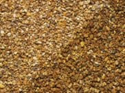 Decorative Chippings, Gravels & Pebbles: York Gold Gravel 10mm 25kg bag