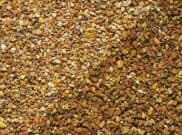 Decorative Chippings, Gravels & Pebbles: York Gold Gravel 20mm 25kg bag