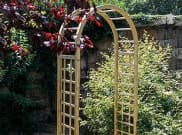 Garden Arches & Seats: Elite Garden Arch 